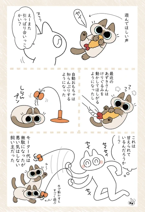 かまってもらえてうれしい(飼い主の方が) #シャム猫あずきさんは世界の中心 
