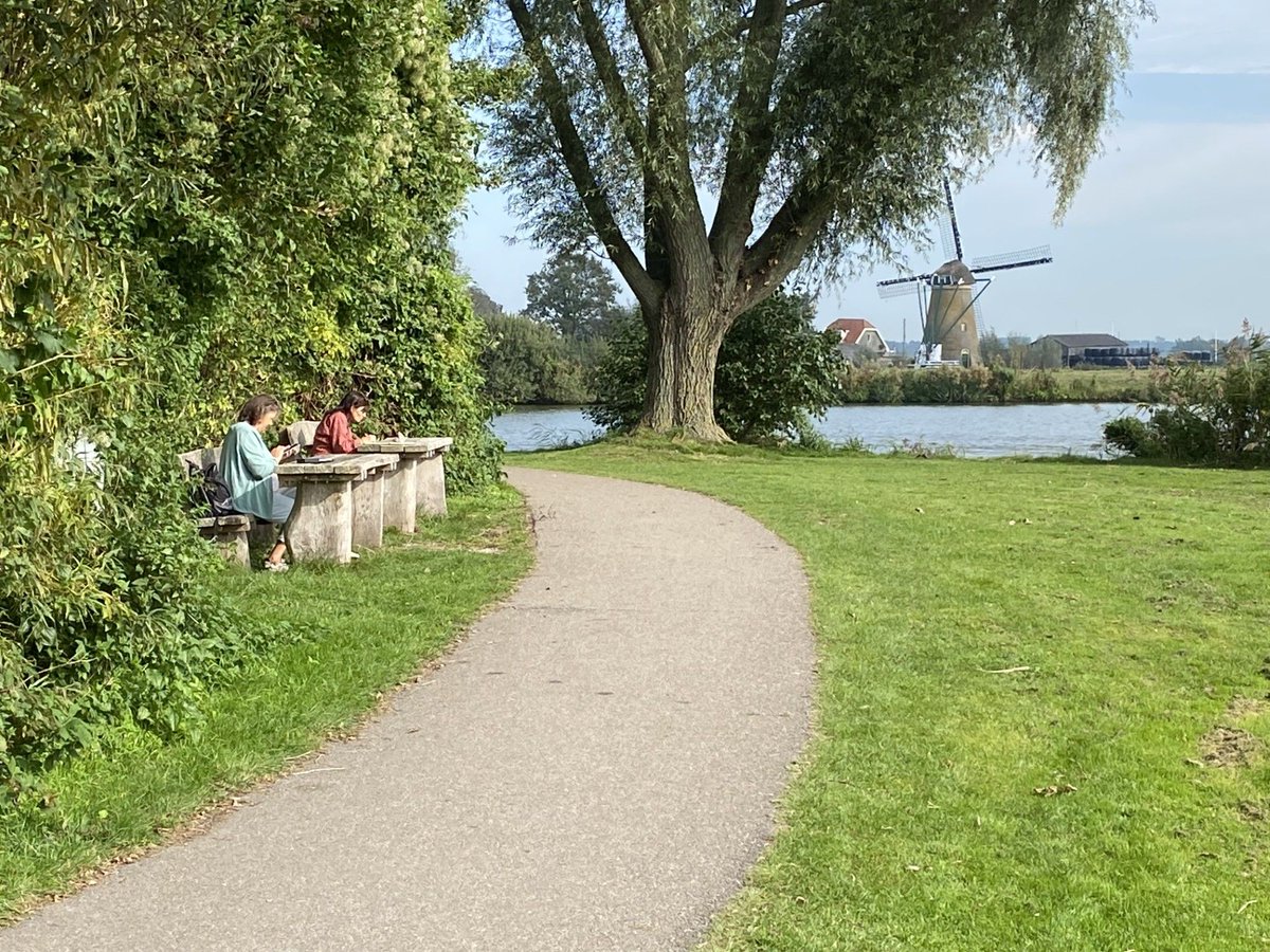 Bollenstreek Omroep tweet media