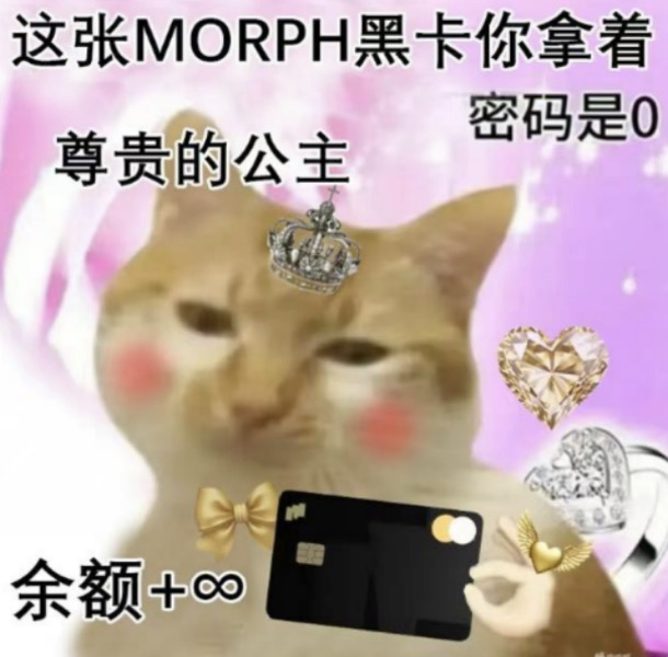 🐨文末抽一个Morph黑卡的WL🎁

————————————

实际上在Web2研究航司会员、酒店会员、信用卡规则已经是一个很大课题了，甚至可以说是产业，由此衍生出「机酒佬」和「卡奴」等人群，在各种论坛交流深度玩法。