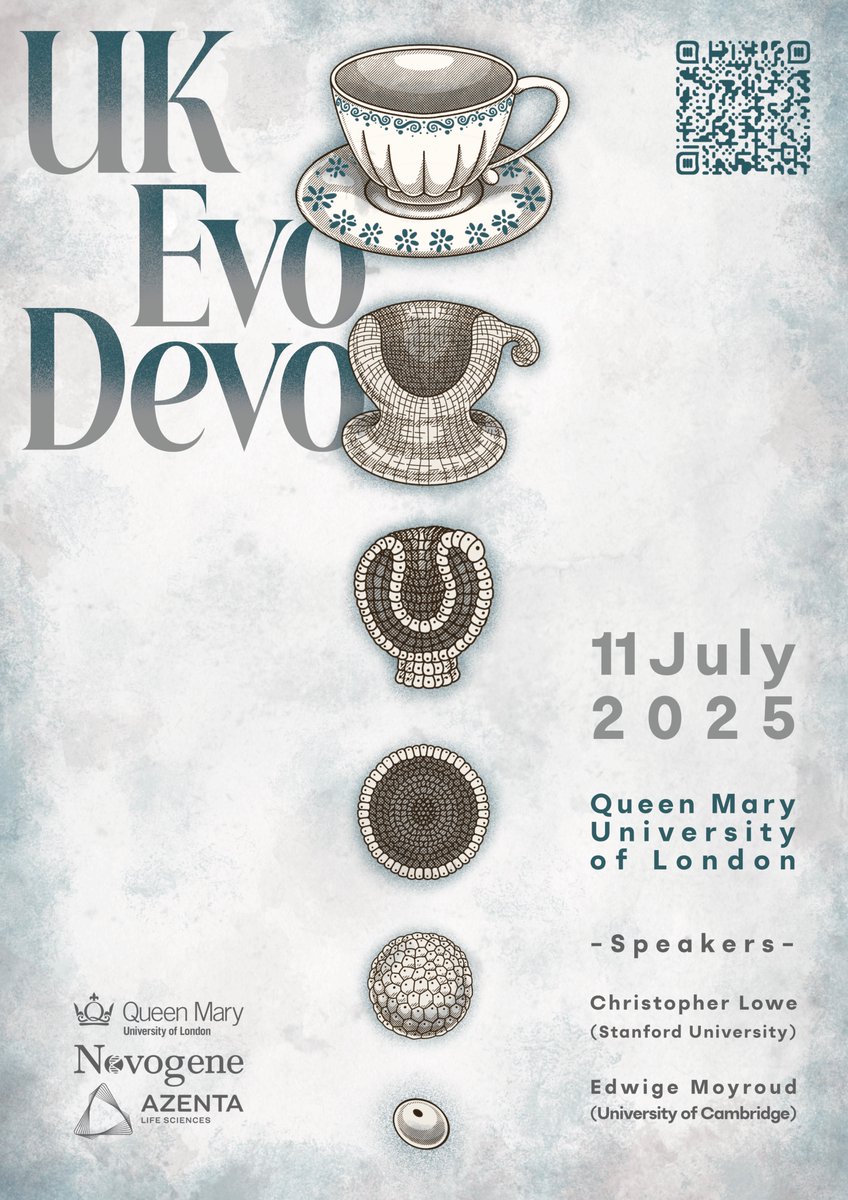 Martín-Durán lab (@chema_md) on Twitter photo 🚨Registration for the UK #EvoDevo meeting is open! Join us on July 11th <a href="/QMUL/">Queen Mary University of London</a> to enjoy an exciting day of talks, posters, friends, and superb science!
-Registration: shorturl.at/9cQGL
-More info: londonevodevo.ac.uk
Supported by <a href="/AzentaSciences/">Azenta Life Sciences</a> <a href="/Novogene_Europe/">Novogene Europe</a> 🚨Registration for the UK #EvoDevo meeting is open! Join us on July 11th <a href="/QMUL/">Queen Mary University of London</a> to enjoy an exciting day of talks, posters, friends, and superb science!
-Registration: shorturl.at/9cQGL
-More info: londonevodevo.ac.uk
Supported by <a href="/AzentaSciences/">Azenta Life Sciences</a> <a href="/Novogene_Europe/">Novogene Europe</a>