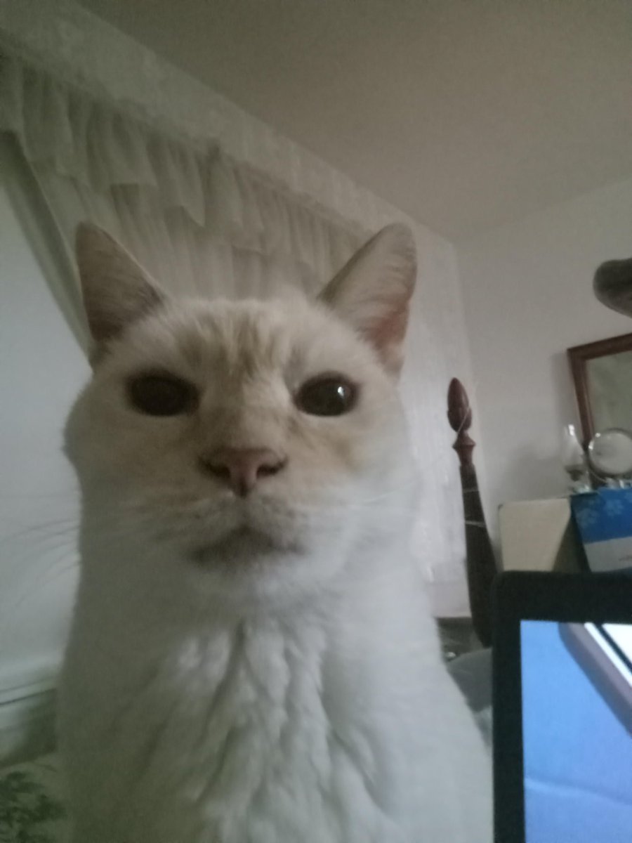 thanks for sharing the chart with the name cropped out ur actually goated for that. it’s probably the coolest thing ive seen in my life, you posted a crypto chart on crypto twitter but you cropped out the name of the token. heroic. i love solving riddles thats fire bro thanks