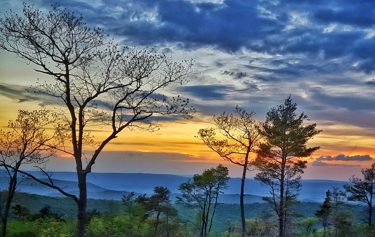 Thankful for this view.

#shtf #shtfready #preparedness #prepper #preppertalk #preppers #mountains #survival #offgrid #offgridliving #griddown