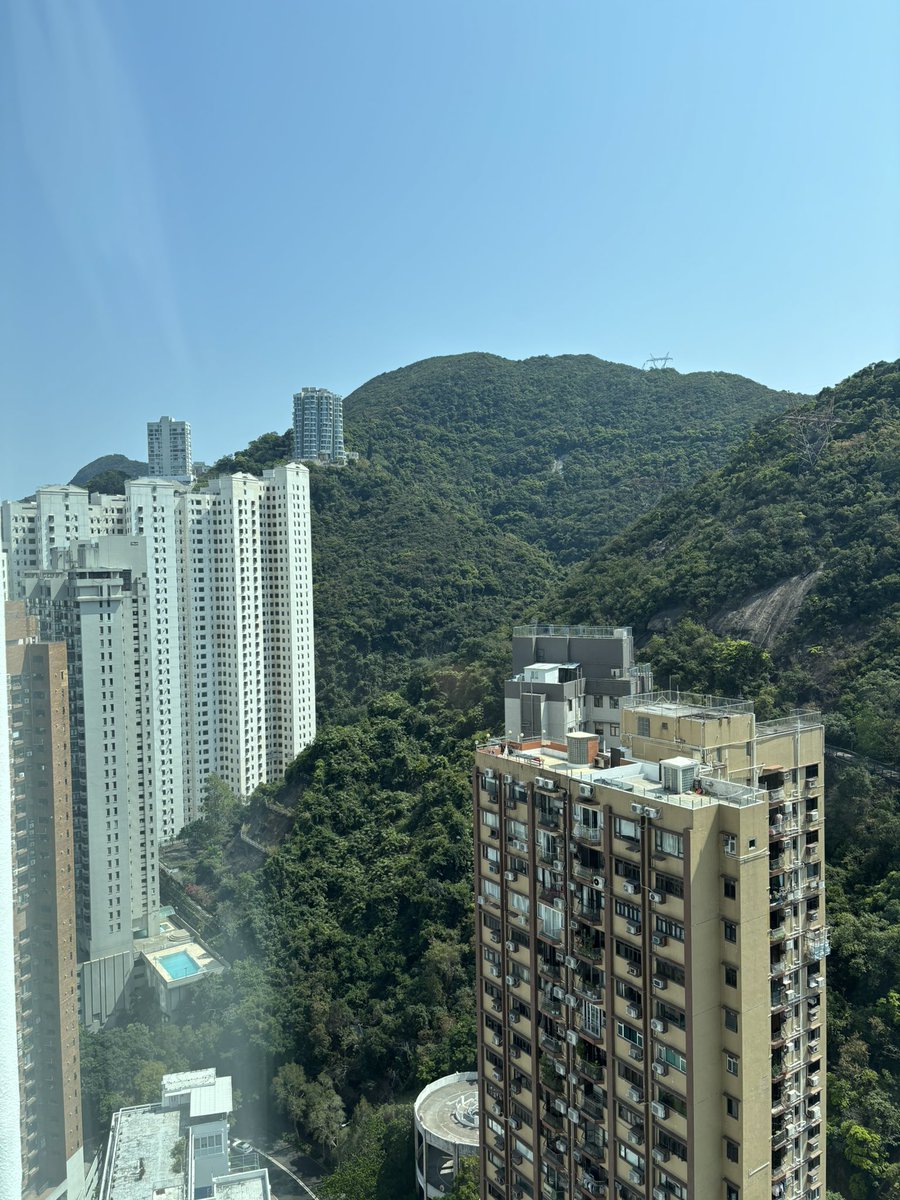 Werner Cloete tweet media