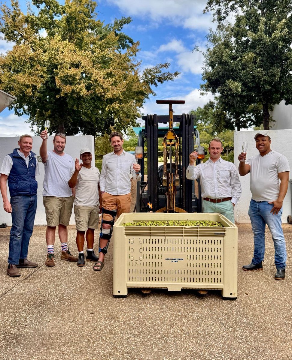The excitement of harvest season is here!🫒

We’ve officially begun pressing olives for our extra virgin olive oil, and we can’t wait to share this season’s fresh flavours with you.

#babylonstoren #franschhoek #capewinelands #oliveoil #farmlife #farmtotable #inseason #farmtofork