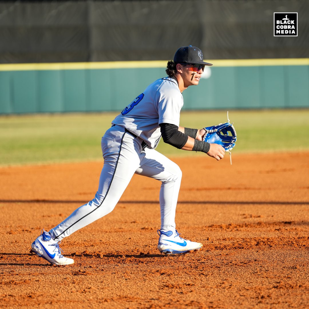 BLACK COBRA MEDIA tweet media