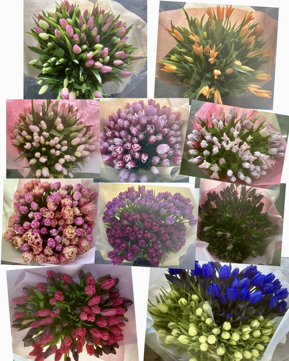 🍝🌷 tweet media