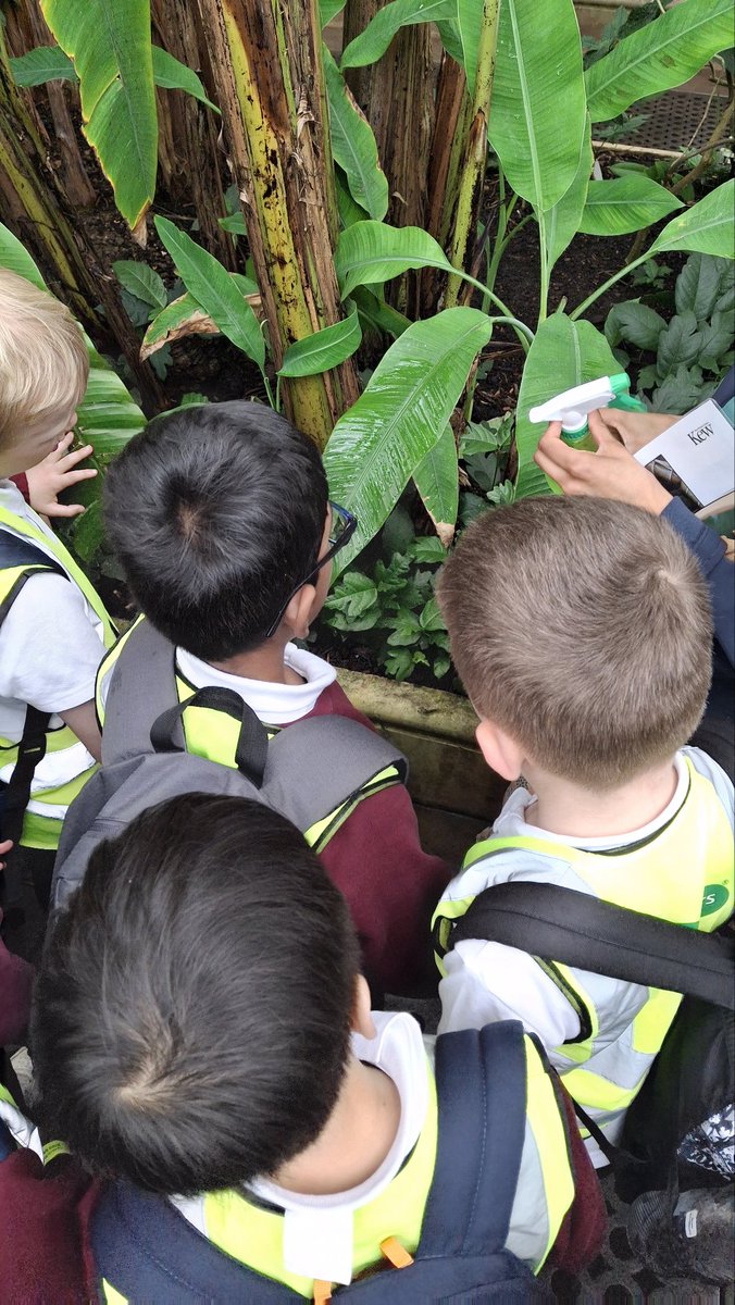 CFPSchool's tweet image. Year 4 budding botanists had a blooming brilliant afternoon at @kewgardens! 🌸 Exploring exotic plants and learning about the wonders of nature. #FieldTripFun #KewGardens #Year4 #WeAreLEO