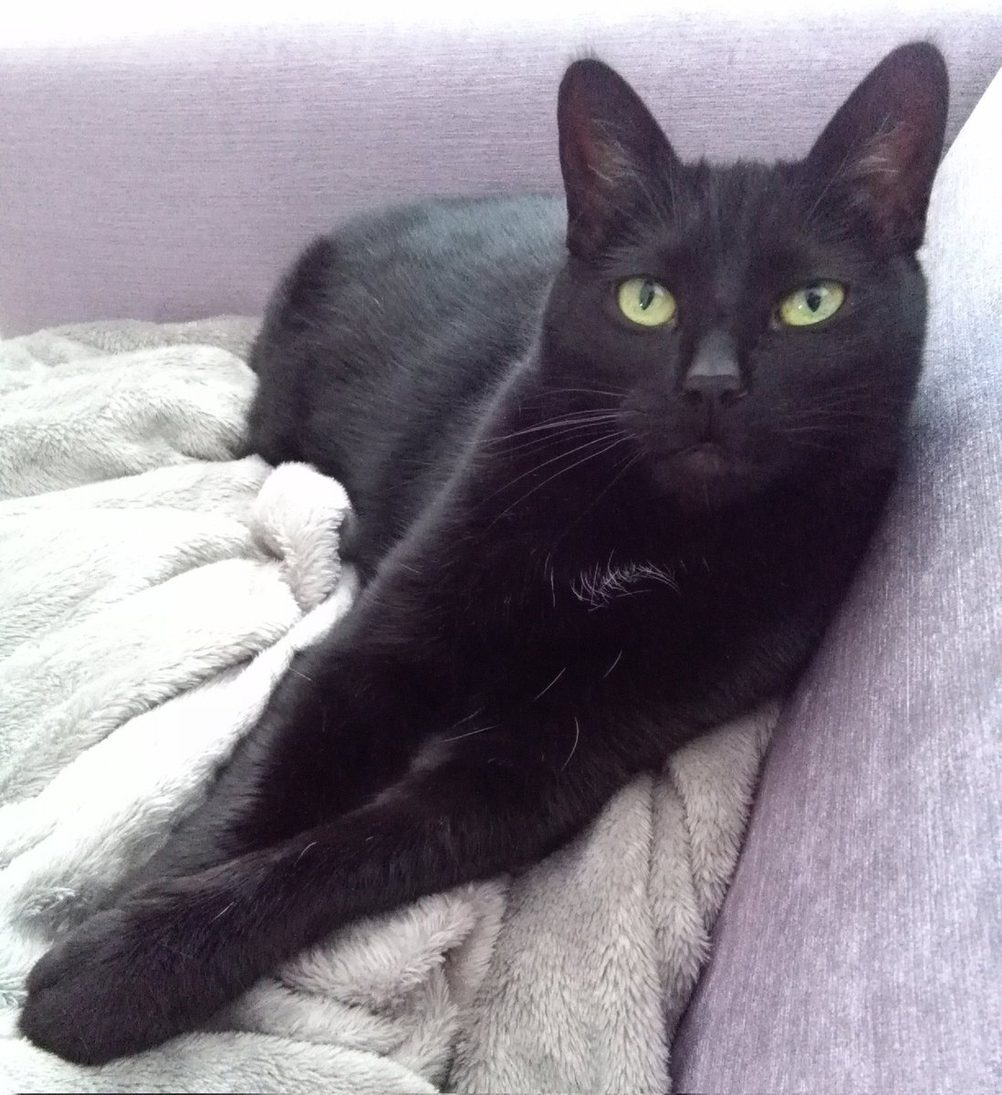 Striking a striking pose 🖤