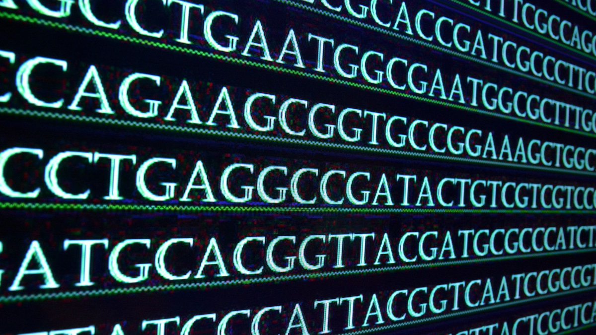 Kraken Sense (@krakensense) on Twitter photo Early detection and real-time monitoring are the future of public health. 
Stay ahead of emerging health threats with Kraken Sense’s cutting-edge technology: buff.ly/3EgNn0k
#PathogenSurveillance #GenomicSequencing #PublicHealth #Innovation Early detection and real-time monitoring are the future of public health. 
Stay ahead of emerging health threats with Kraken Sense’s cutting-edge technology: buff.ly/3EgNn0k
#PathogenSurveillance #GenomicSequencing #PublicHealth #Innovation