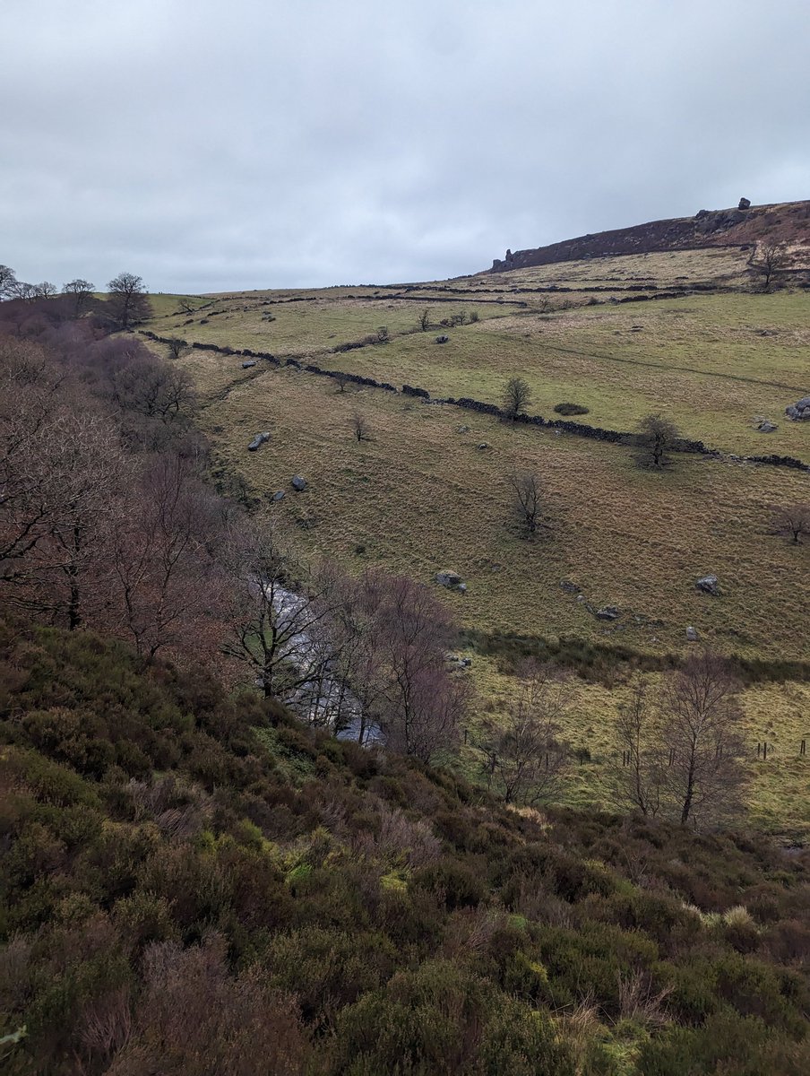 solcorporal's tweet image. gm grinders 🌅

seize the day ⌚📈