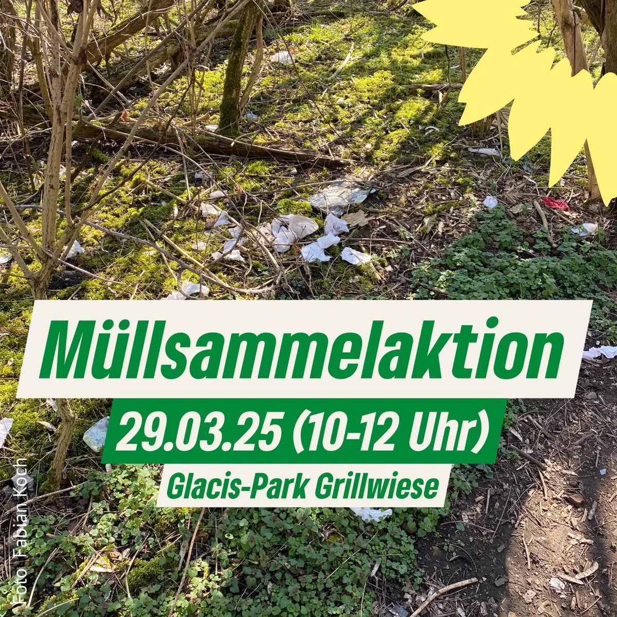 Auch in diesem Jahr unterstützen wir „Magdeburg putzt sich“ in Stadtfeld💚
📅Wann? Sa 29.03.25 10:00Uhr
📍Wo? Grillwiese im Glacis
Gemeinsam wollen wir die beliebte Wiese von Müll befreien. Der Abfallwirtschaftsbetrieb stellt einen Container, bringt Handschuhe &amp; Greifzangen mit♻