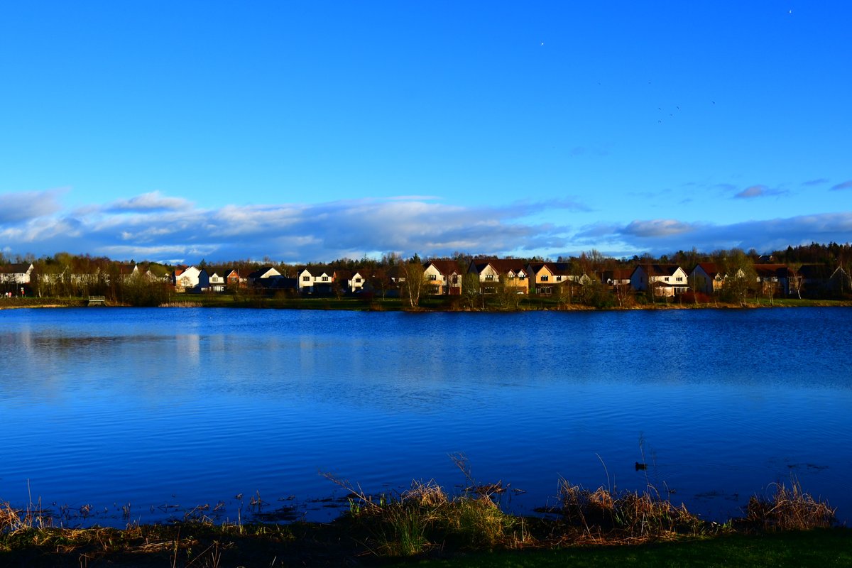 American Scottish tweet media