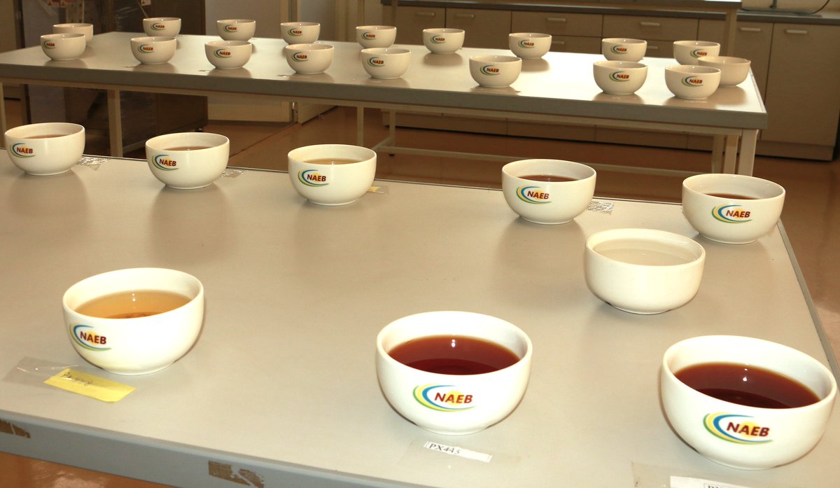 🌱Boosting Rwanda Tea quality!🍵

#NAEB is conducting a 5-day training to tea makers from all tea factories across the country. This initiative plays a key role in enhancing the quality of #Rwanda Tea; ensuring consistency, excellence and competitiveness in global markets.