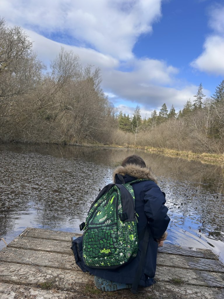 HarrisonPSchool's tweet photo. Pond dipping https://t.co/wRTVzhW0Dk