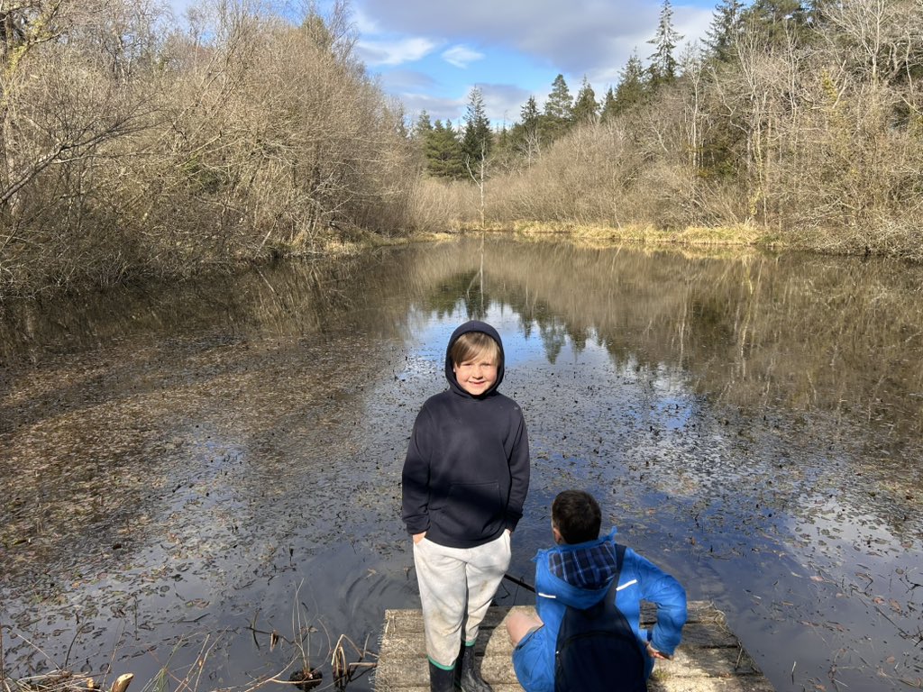 HarrisonPSchool's tweet photo. Pond dipping https://t.co/wRTVzhW0Dk