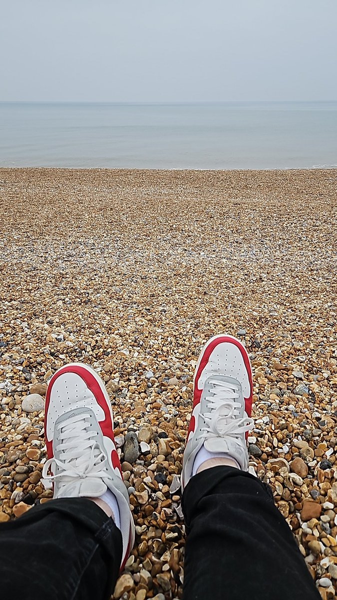 Sometimes you need to let the doggo out for a big walk! 🐕