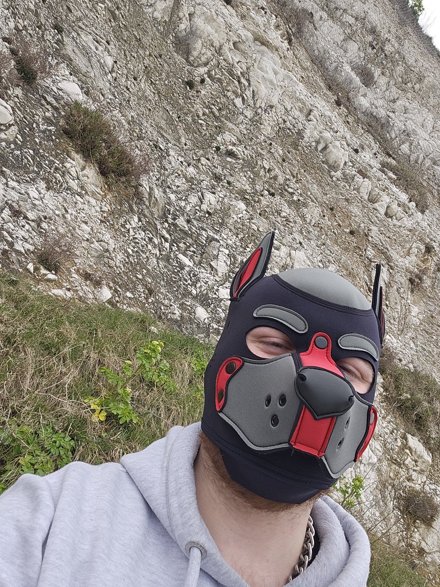 Pup Leko tweet media