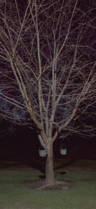 Art of the Day: "Alone Tree with Two". Buy at: ArtPal.com/Jupiter_Nyx?i=…