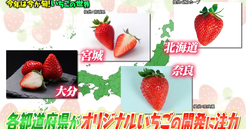 Tomoki Shimada (@Tomoki_Shimada) / Posts / X