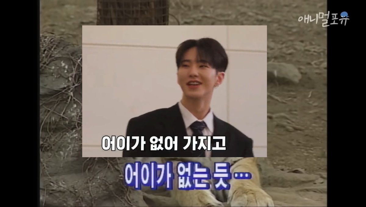 하룻강아지 범 무서운줄 몰라