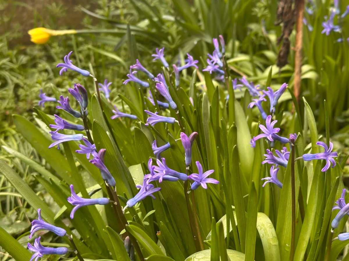 Kristóf Lovas (@kristoflovasnew) on Twitter photo 