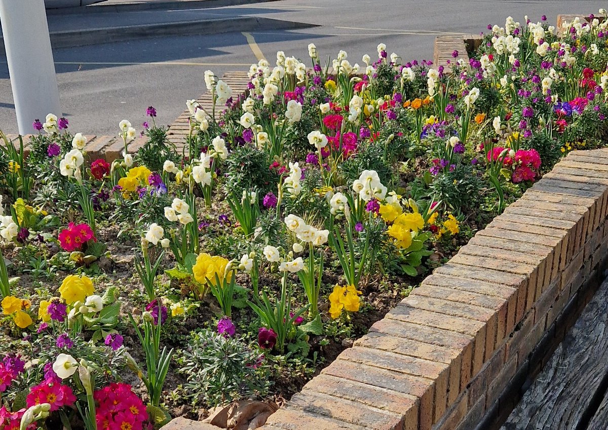 Alex🚈 (@cdbalex) on Twitter photo Un printemps qui serait réellement là ? Quel bonheur ce soleil 🌞🌸 
Belle après-midi 😁 Un printemps qui serait réellement là ? Quel bonheur ce soleil 🌞🌸 
Belle après-midi 😁