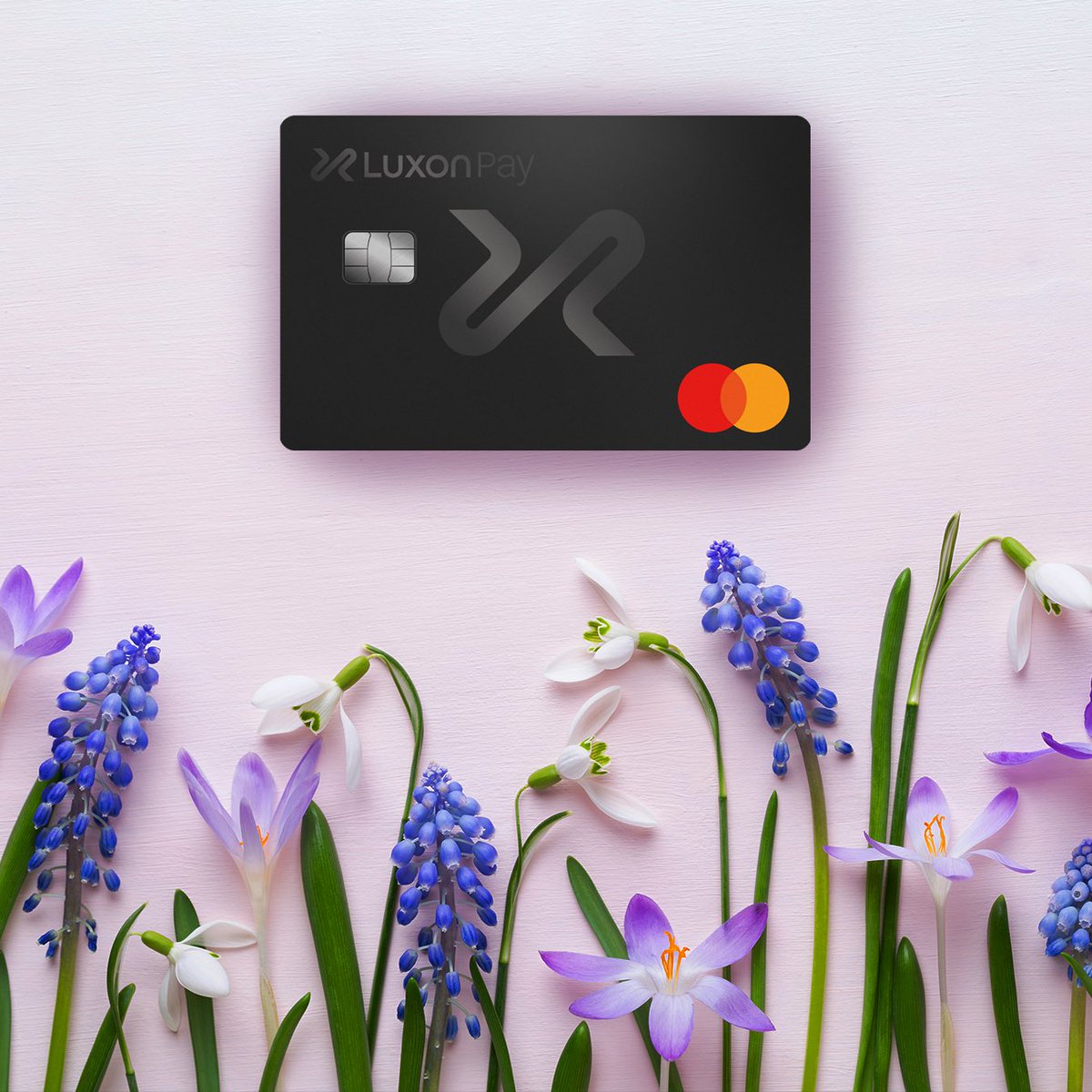 Spring is in the air! 🌸
Enjoy the season of new beginnings with seamless payments, and take advantage of our March promo – order your FREE Luxon Pay Mastercard* today 💳
⠀
*Available only in UK &amp; EU