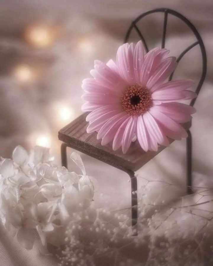 🌿Good Night Friends 🌿
تمہاری ذہنی سکون بہت بہتر ہو جائے گا جب تم یہ سمجھ جاؤ گے کہ:
ہر بات پر ردِعمل دینا ضروری نہیں۔
ہر رائے پر پریشان ہونا ضروری نہیں۔
ہر واقعہ کو ضرورت سے زیادہ اہمیت دینا ضروری نہیں۔
ہر کہی گئی بات کا جواب دینا ضروری نہیں۔
خاموشی، درگزر، اور نظرانداز کرنا