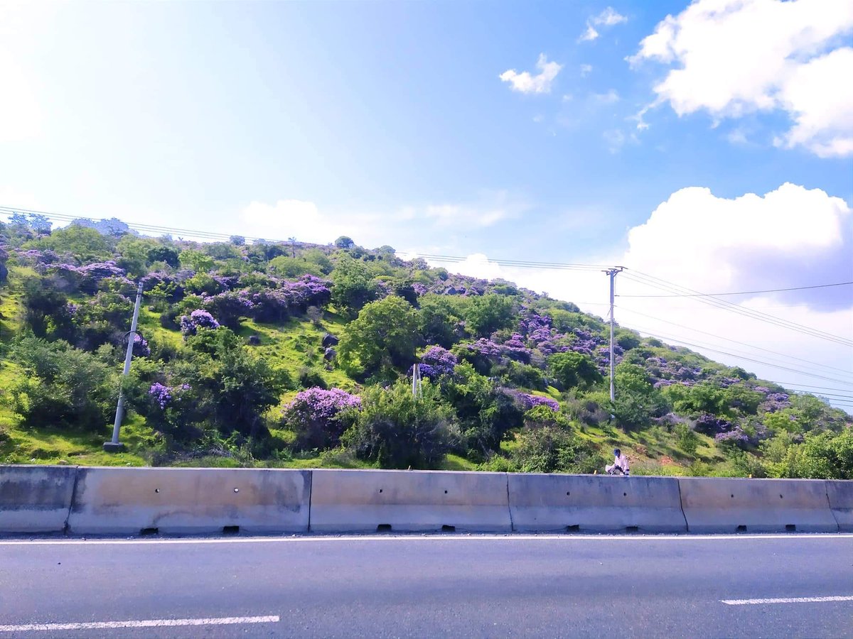 Beautifull ❤️❤️