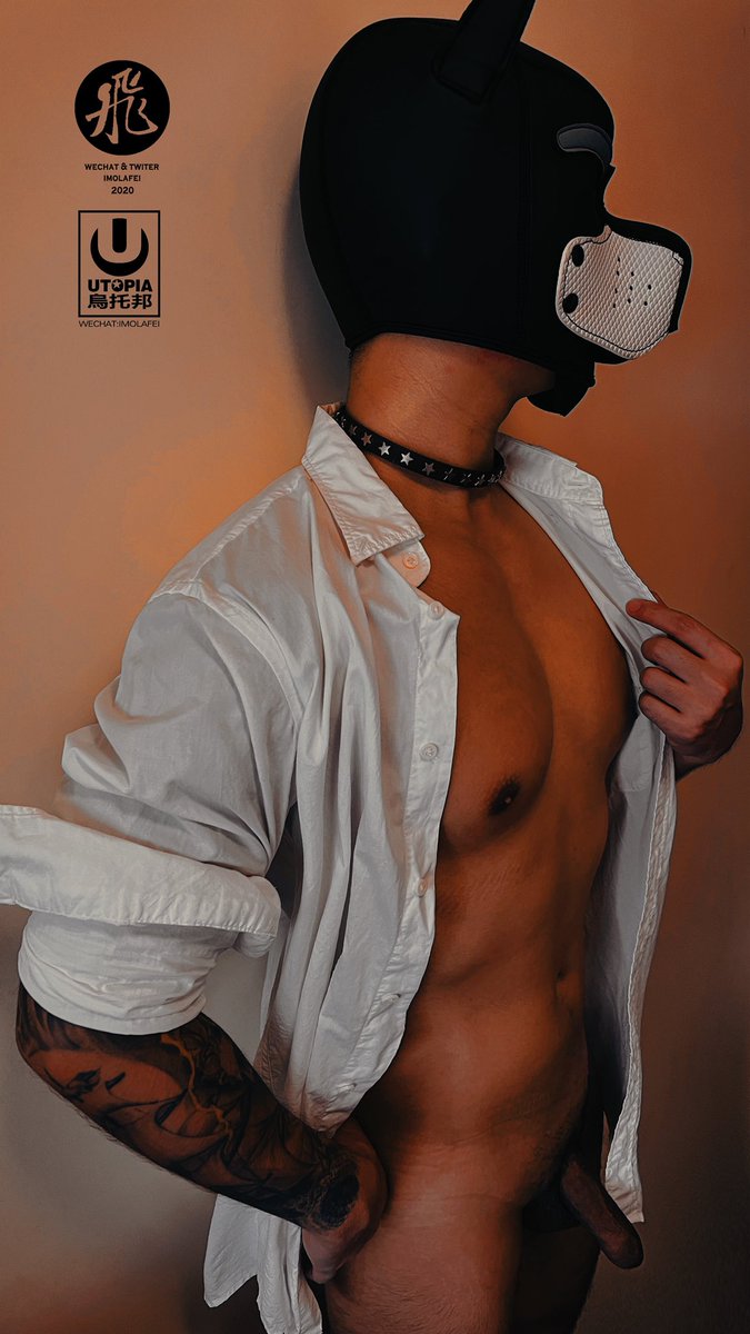 飛 (@imolafei) on Twitter photo 