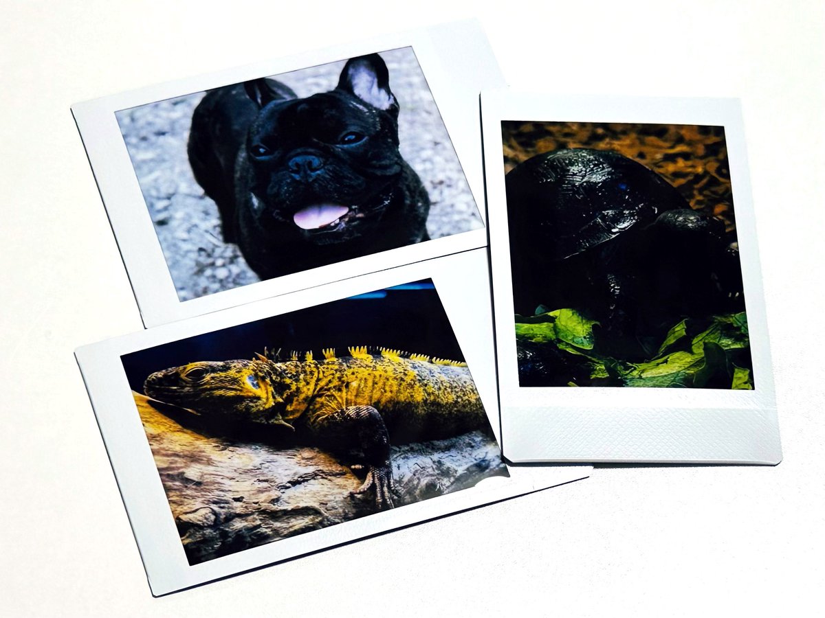 アクバスのグッズ詳細