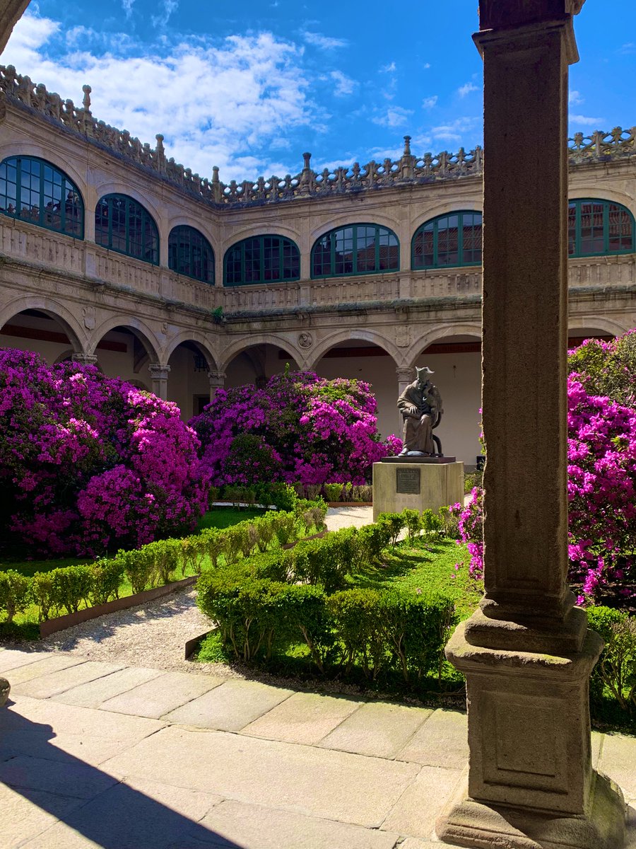 xmrey's tweet image. Fonseca en marzo sempre coas azaleas ben floridas 🌺