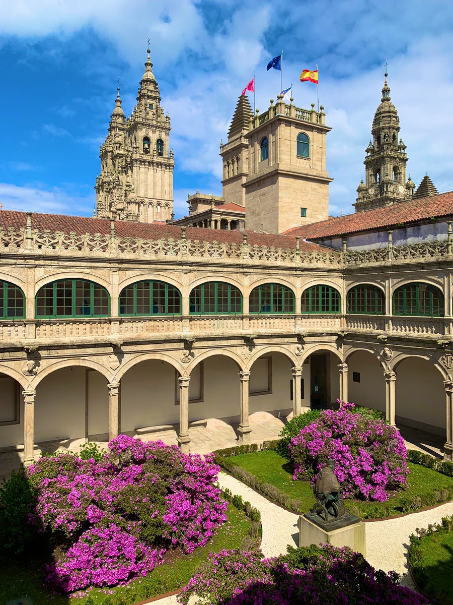 xmrey's tweet image. Fonseca en marzo sempre coas azaleas ben floridas 🌺