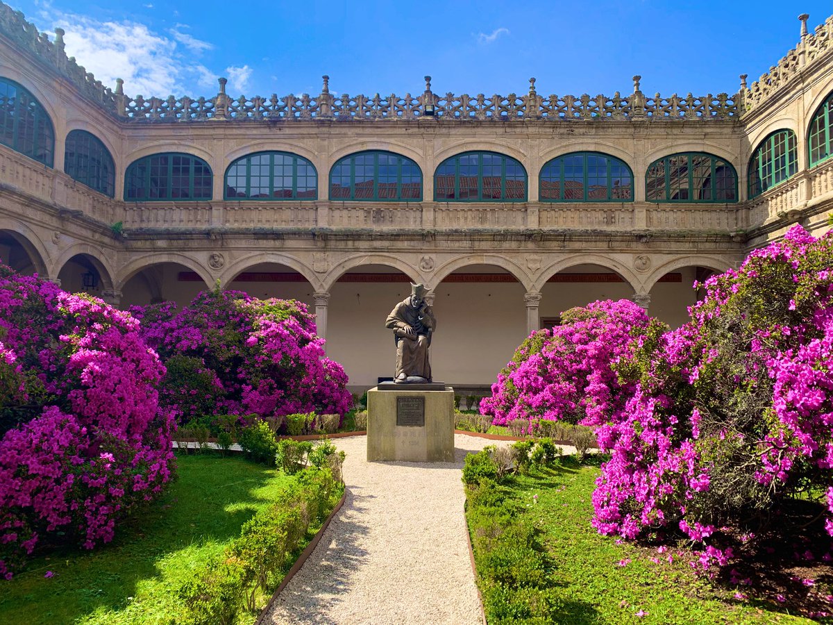 xmrey's tweet image. Fonseca en marzo sempre coas azaleas ben floridas 🌺