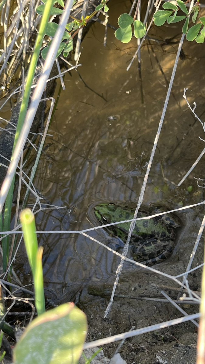 Space Monk tweet media