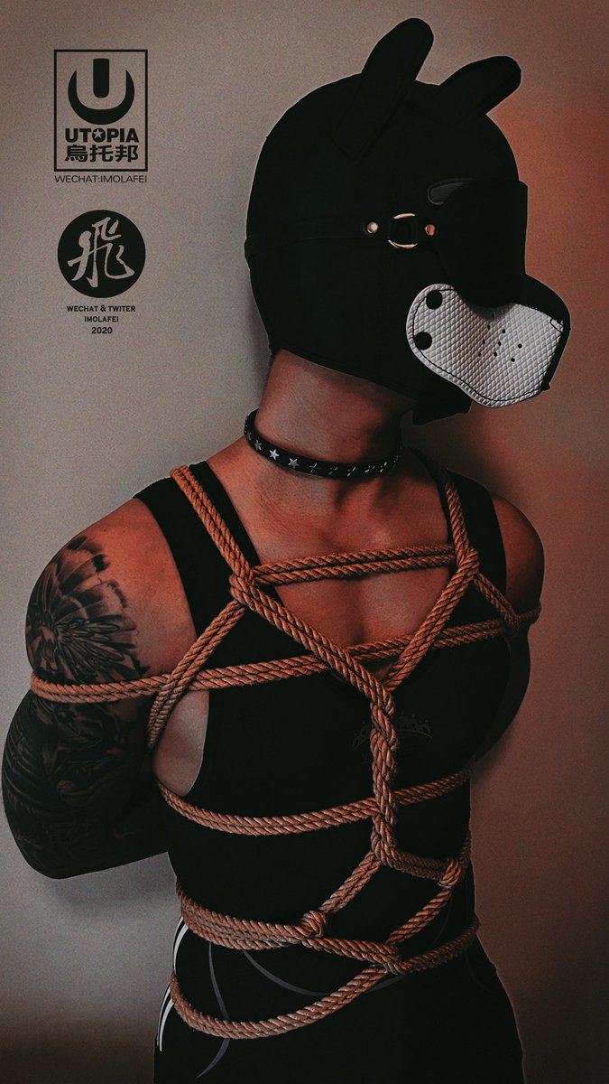 飛 (@imolafei) on Twitter photo 