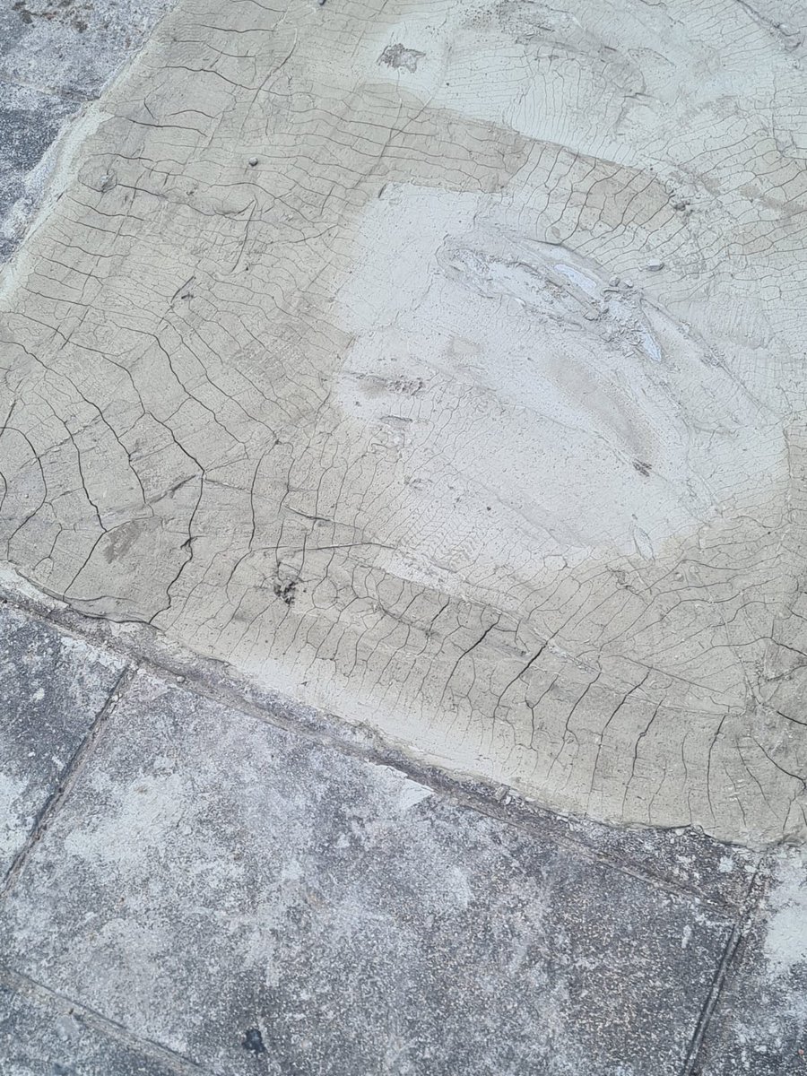 ivillasenor's tweet image. 🚨 | Inminente explosión de heces fecales en CDMX

El @GobCDMX solo echó una plasta de cemento sobre el registro que lleva meses arrojando aguas negras sobre Insurgentes Sur. ¿El problema? Ya se está cuarteando y no corrigieron la falla real, que terminará por estallar pronto.…