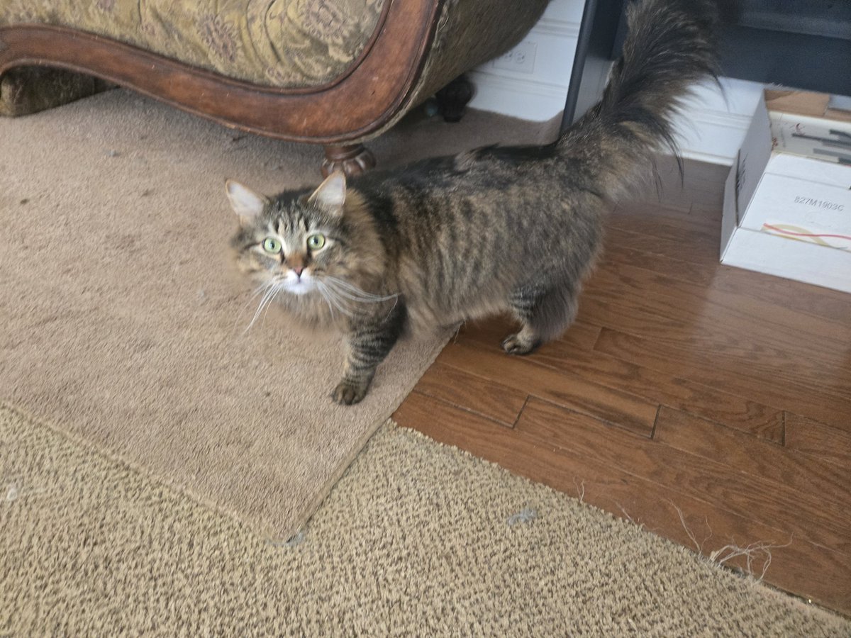 four horseman of the clothespocalypse, no colour is safe