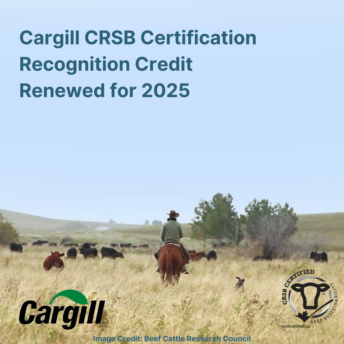Great news for #CRSBcertified producers! Cargill is continuing the Certification Recognition Credit in 2025 to “fill the gap” for those who invested in certification but didn’t receive at least $400 CAD in financial return for qualifying cattle in 2024 bit.ly/4j36dY4