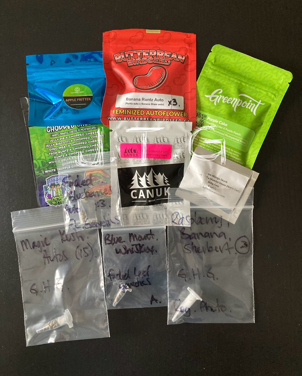 jeff_thegreat1's tweet image. 🚨Giveaway Incoming🚨

10 Strains, 2 Winners at random, 5 Strains each

➡️ Like/Retweet/Follow me/Tag x2 friends

➡️ Comment with your fav strain in pic

➡️ Ends April 20, 2025 w/ winner’s announced at 4:20pm 

GL to all 

#Giveaway #WhosGunnaWin #YouKnowWhatToDo #TagYourFriends