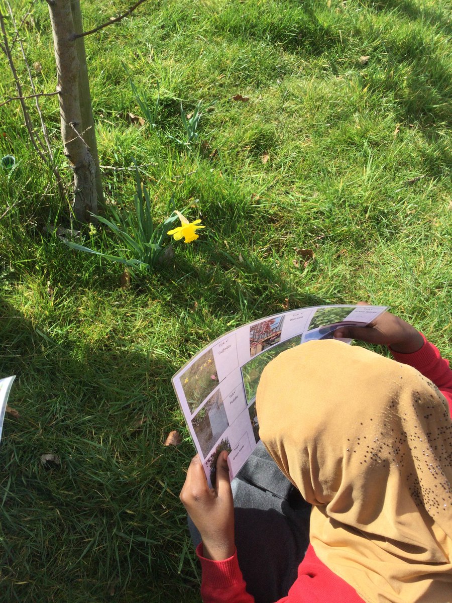 Spring has sprung! Our Reception children are having a glorious time learning outside today. A fabulous way to end the afternoon - looking for signs of spring with their viewfinders.🌼🌼