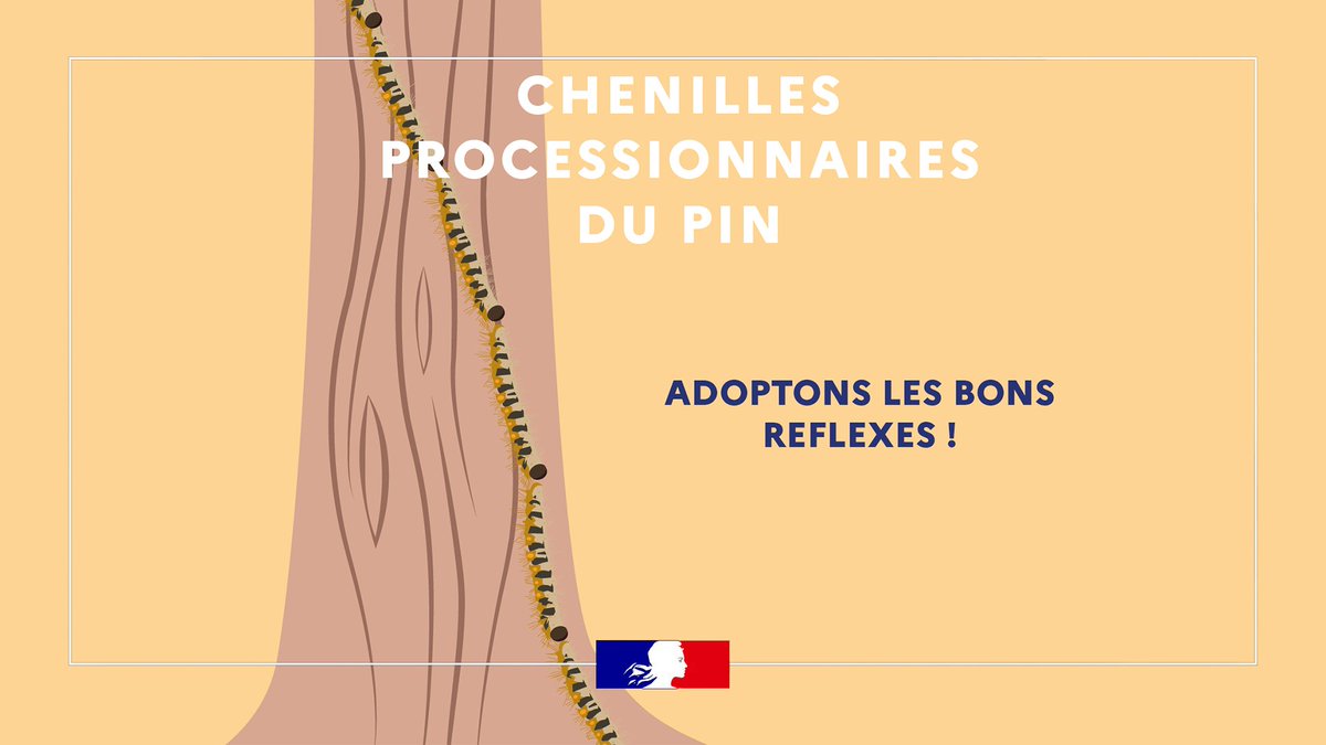 Image de Préfet du Calvados