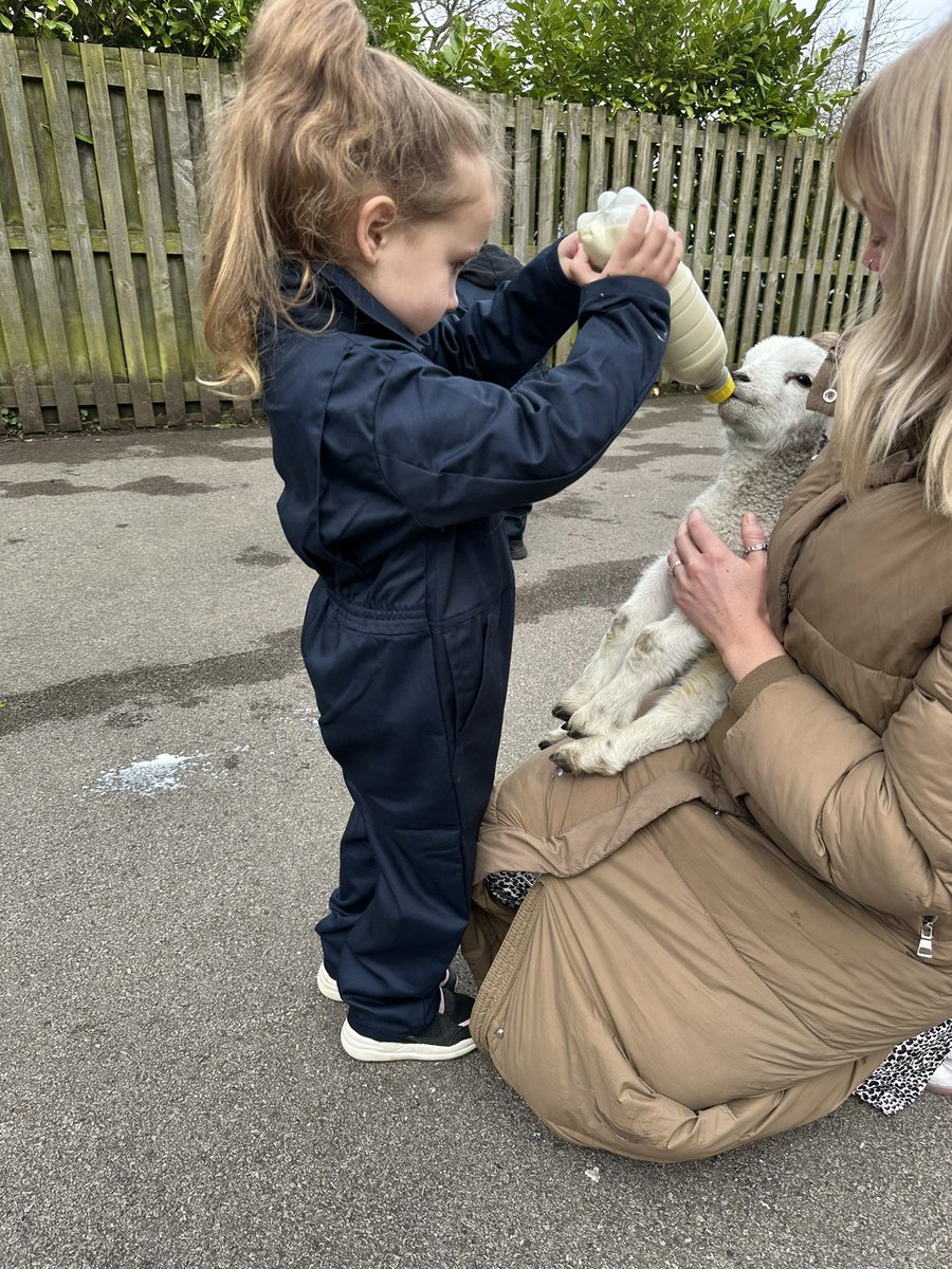 Elm had an amazing time feeding the lambs! <a href="/WhiteWoodsPAT1/">White Woods Primary Academy Trust</a>