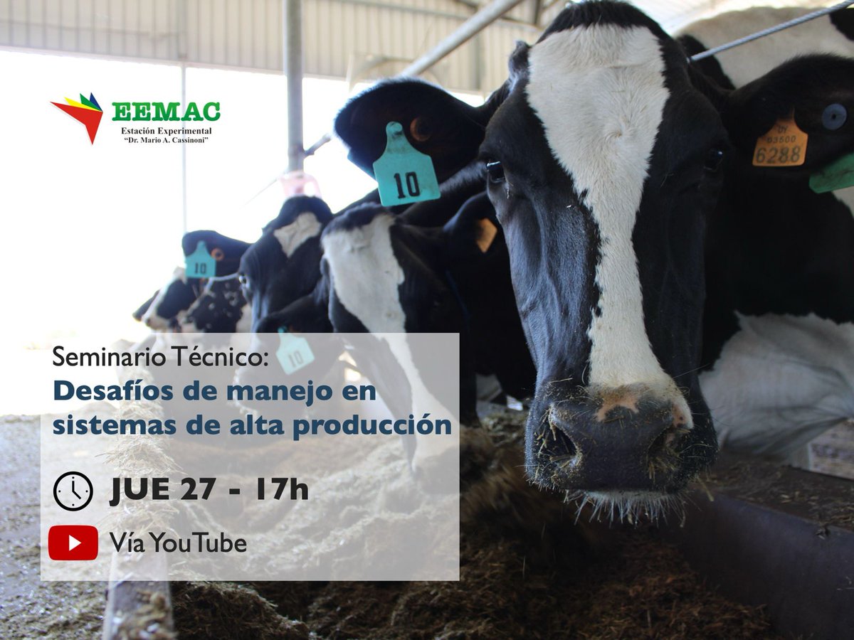 Seminario Técnico
17:00 Intro - Chilibroste
17:10 Desafío y oportunidades de los sist. estabulados en UY: reflexiones desde la práct. profesional. A. Capelesso
17:50 Gestión de la información en sist. lecheros de alto desempeño". F. Bargo
18:40 Discusión
youtube.com/live/Q_rOsWI7Y…