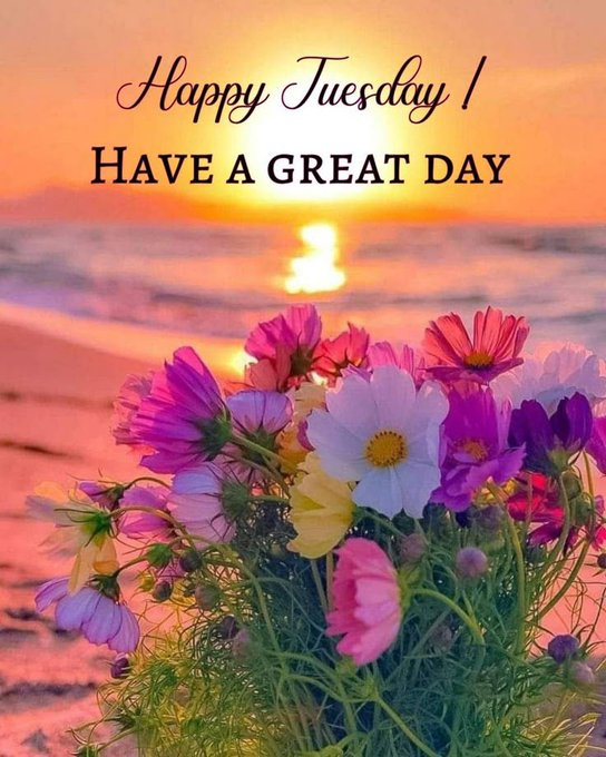 mia_victoria033's tweet photo. A little positivity goes a long way. Have a fantastic Tuesday🌼🌞 #MakeItGreat https://t.co/hcmygl0jAm