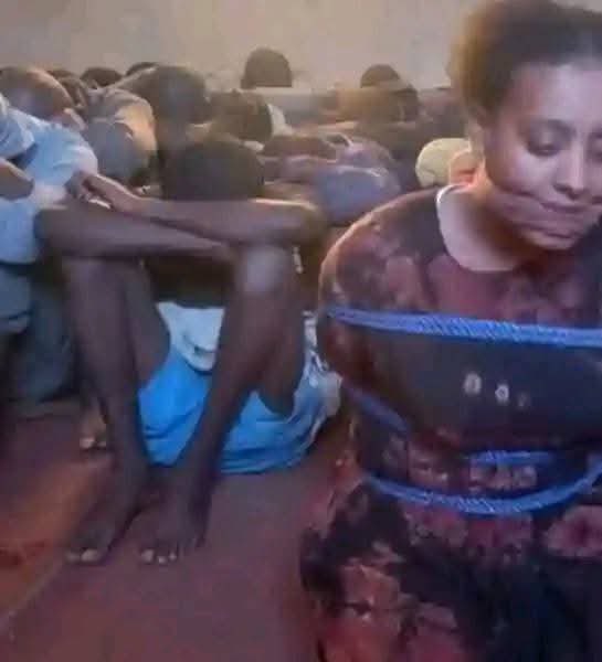 Mercy ✨💙 🩵🌿 tweet media