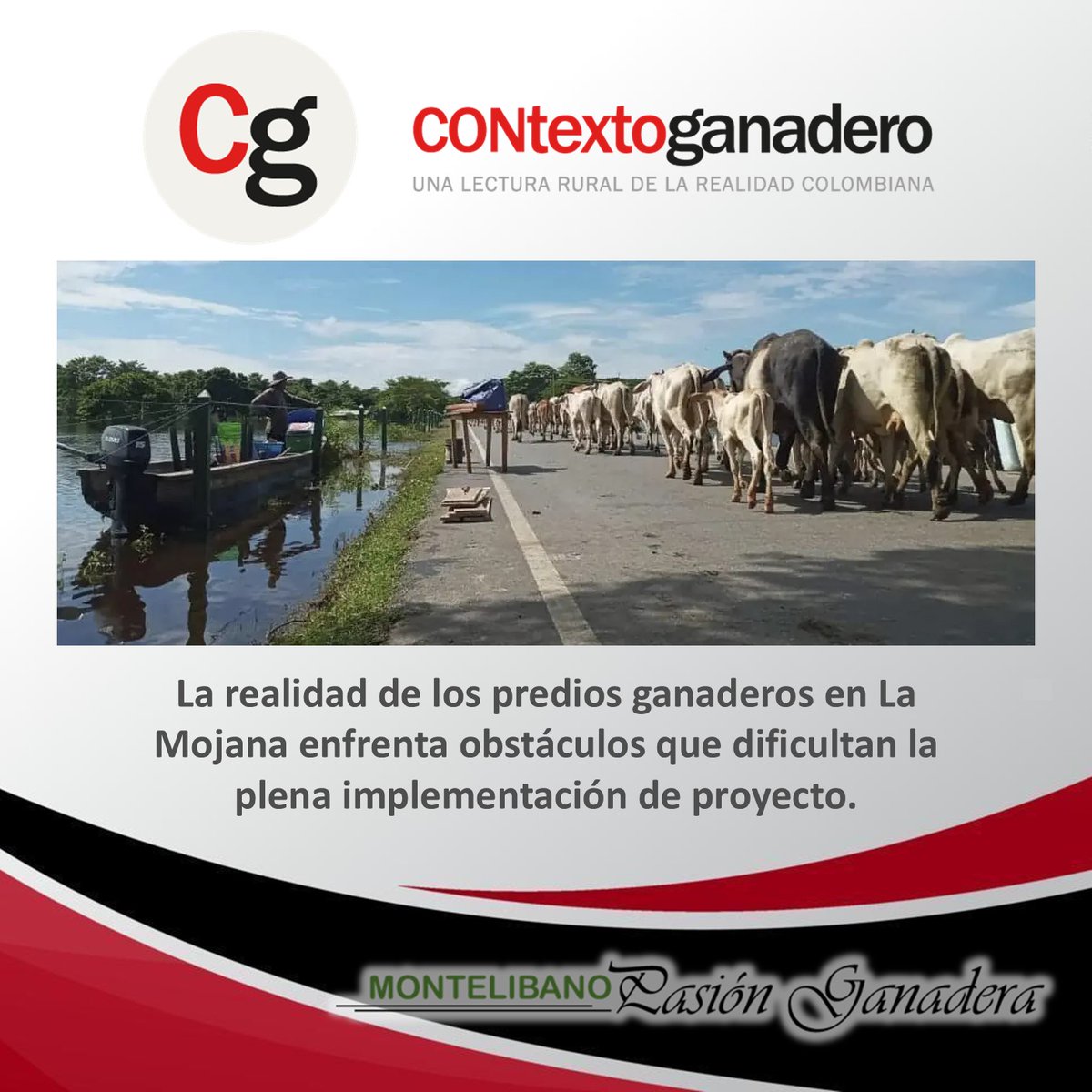 Ganaderos en La Mojana recibirán ingresos por capturar carbono contextoganadero.com/regiones/ganad… a través de <a href="/ContGanadero/">CONtexto Ganadero</a> 
<a href="/Fedegan/">FEDEGAN</a> 
<a href="/jflafaurie/">José Félix Lafaurie</a> 
<a href="/PlMojana/">LA MOJANA pasión ganadera.</a>