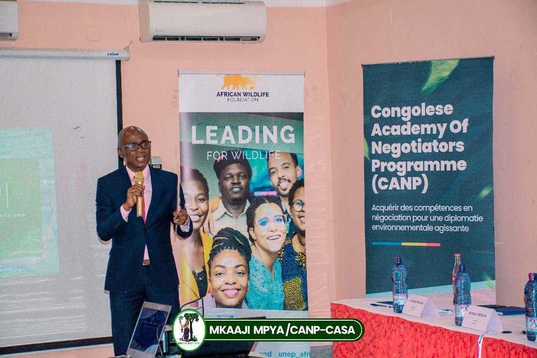 antoinetabu1's tweet photo. @AWF_Official is proud to support youth shaping the next generation of leaders! Kuddos to our AWF -Wall Fellow @MuderhwaGervais for launching the first cohort of the Congolese Academy of Young Negotiators under @MkaajiMpya asbl,with 15 fellows.Get the whole country involved, guys https://t.co/A6BZ80o9XM