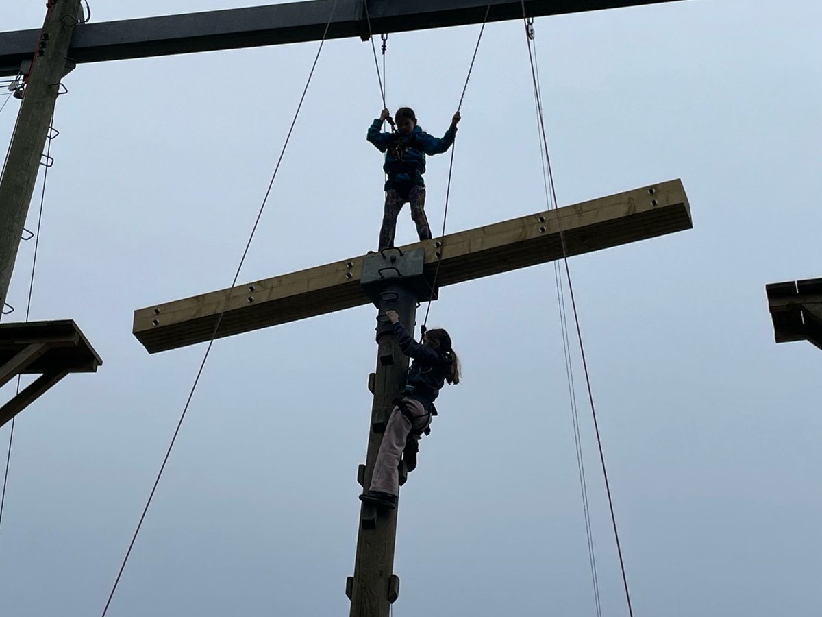 BVS Year 4 tweet media