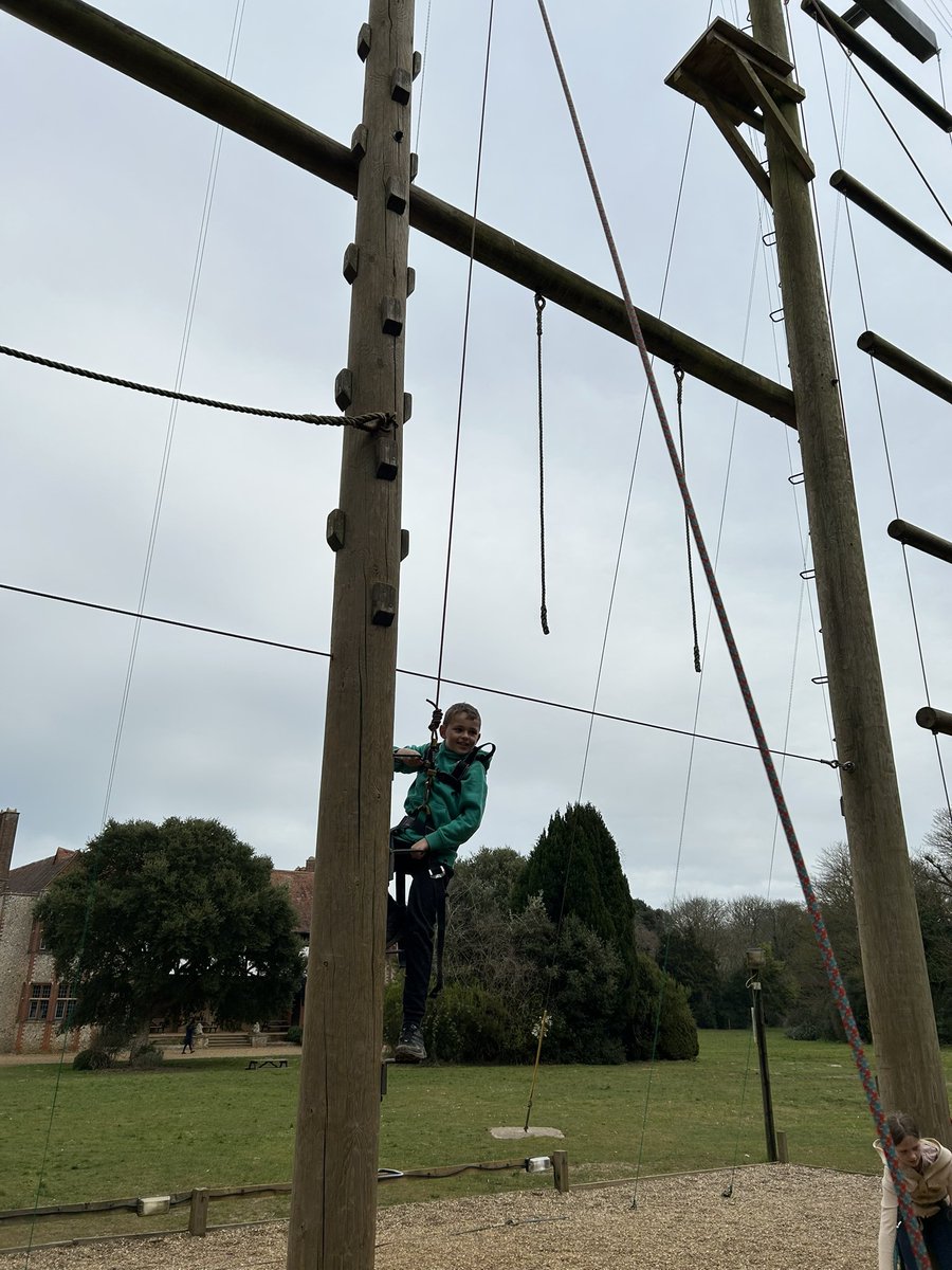 BVS Year 4 tweet media